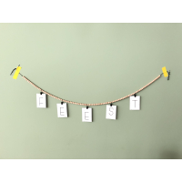 RVS knijpers zwart 5 stuks